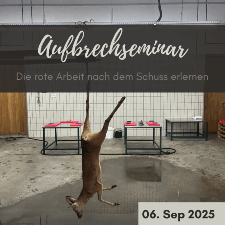 Aufbrech-Seminar 06.09.2025